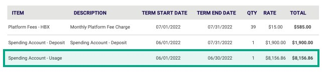 spending account usage invoice example