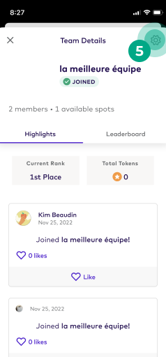 Challenge team details screen with the gear icon highlighted