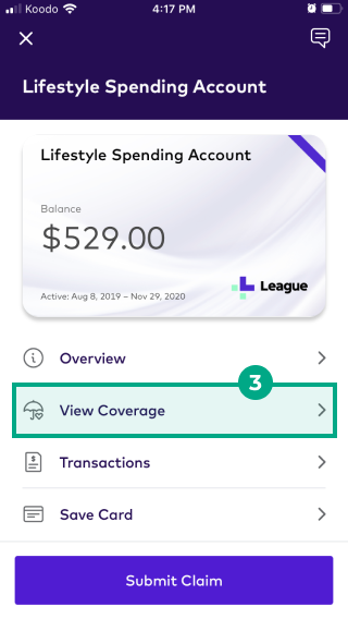 What can a Lifestyle Spending Account be Used For?