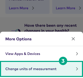 Change units of measurement highlight in the more options menu
