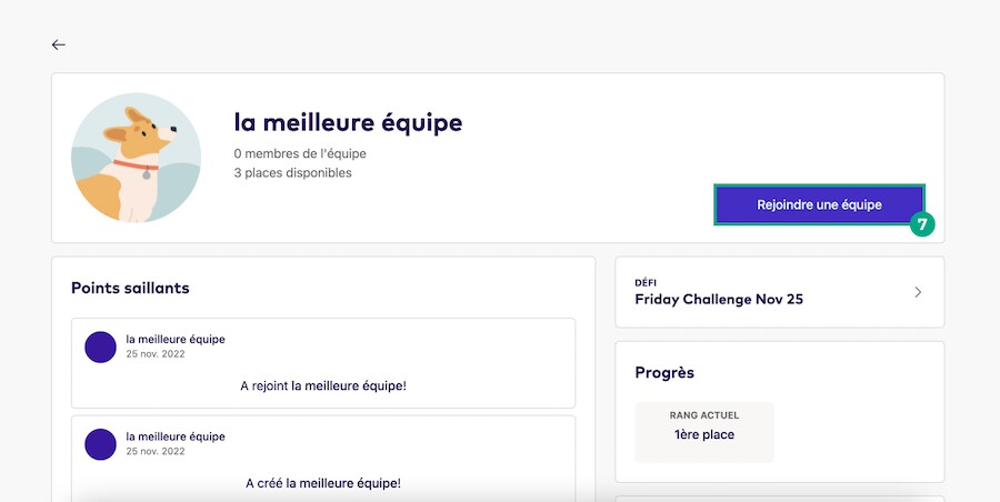 Écran des détails de l'équipe du défi avec le bouton Rejoindre l'équipe en surbrillance