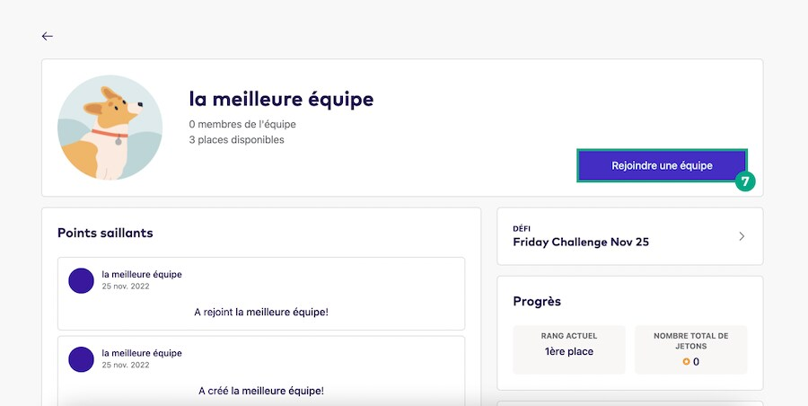 Écran des détails de l'équipe du défi avec le bouton Rejoindre l'équipe en surbrillance