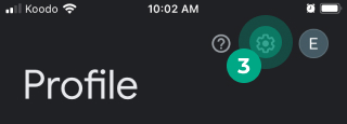 gear icon highlighted in google fit app profile screen