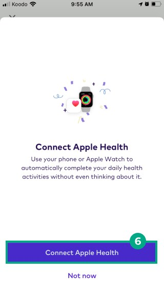 connect apple health button highlighted in connect apple health screen